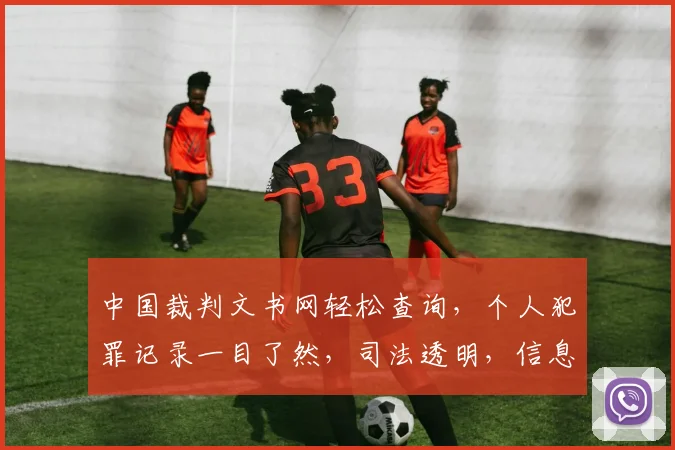 中国裁判文书网轻松查询，个人犯罪记录一目了然，司法透明，信息便捷，三步走