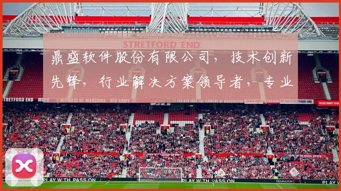 鼎盛软件股份有限公司，技术创新先锋，行业解决方案领导者，专业服务，共创未来。