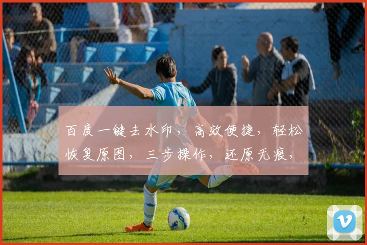 百度一键去水印，高效便捷，轻松恢复原图，三步操作，还原无痕，专业去水印神器