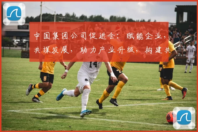 中国集团公司促进会：赋能企业，共谋发展，助力产业升级，构建共赢生态圈